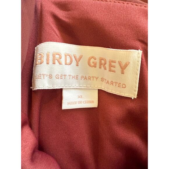 Birdy Grey Violet Chiffon Dress Rosewood  XL Wedding Bridesmaid  New! - Picture 5 of 7